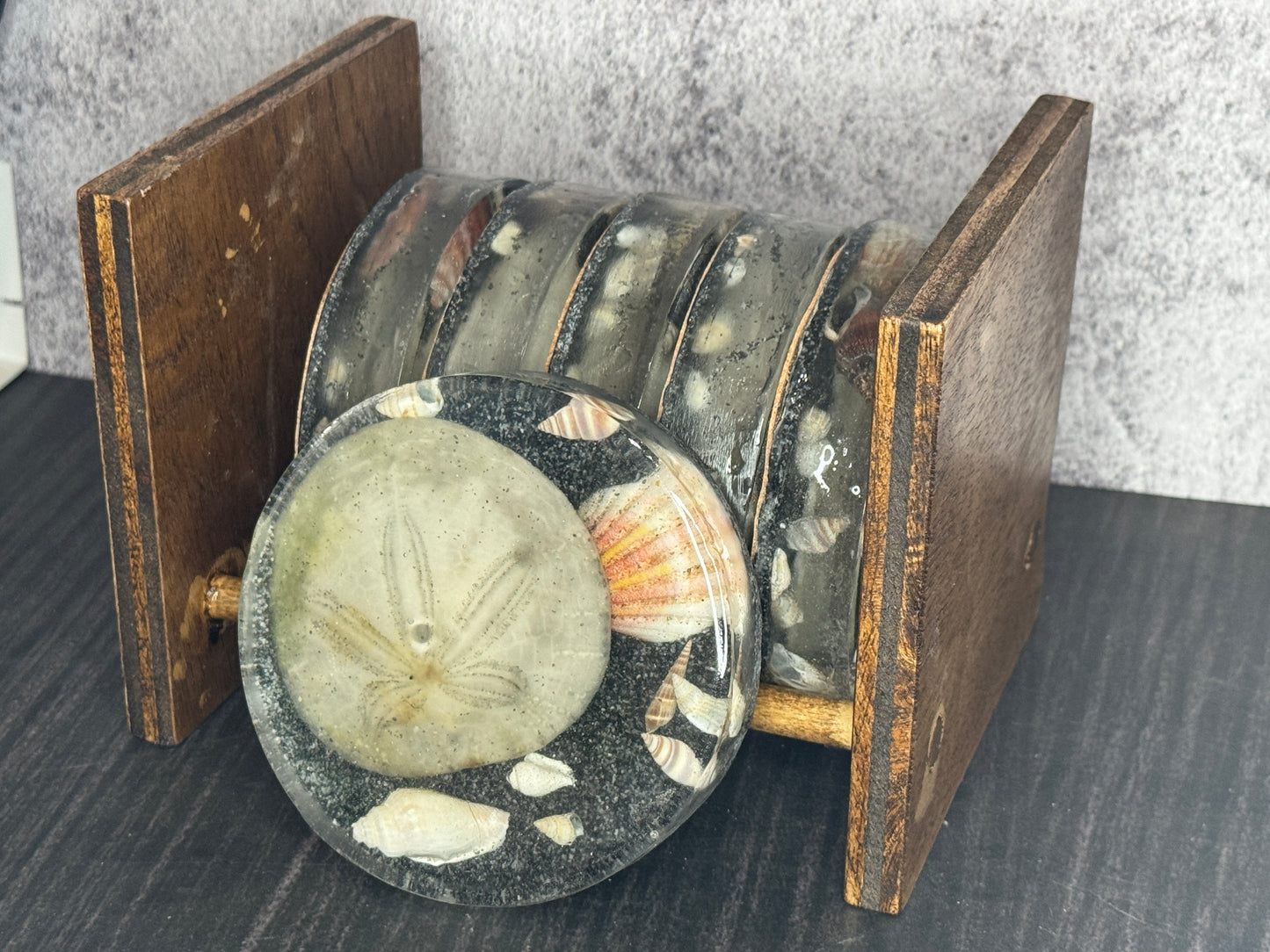 6 Piece Sand Dollar and Seashells Coaster Set with Holder